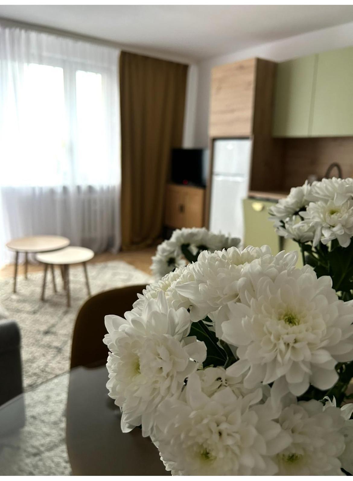 Piekne Mieszkanie W Samym Centrum Gdyni Gdynia Zewnętrze zdjęcie